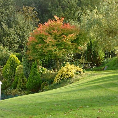 Bryn Hebog Bed and Breakfast Καρμάρθεν Εξωτερικό φωτογραφία