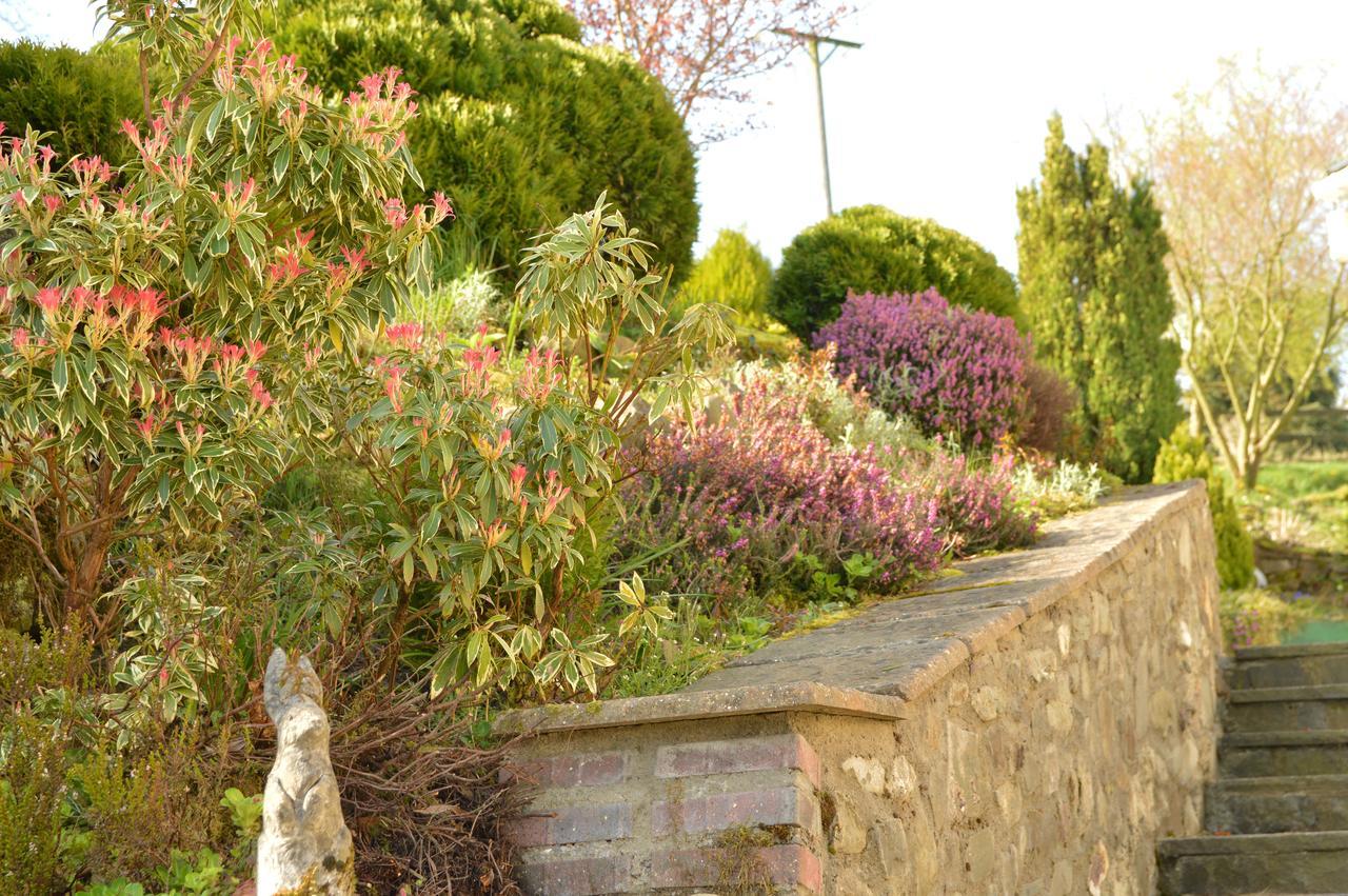 Bryn Hebog Bed and Breakfast Καρμάρθεν Εξωτερικό φωτογραφία