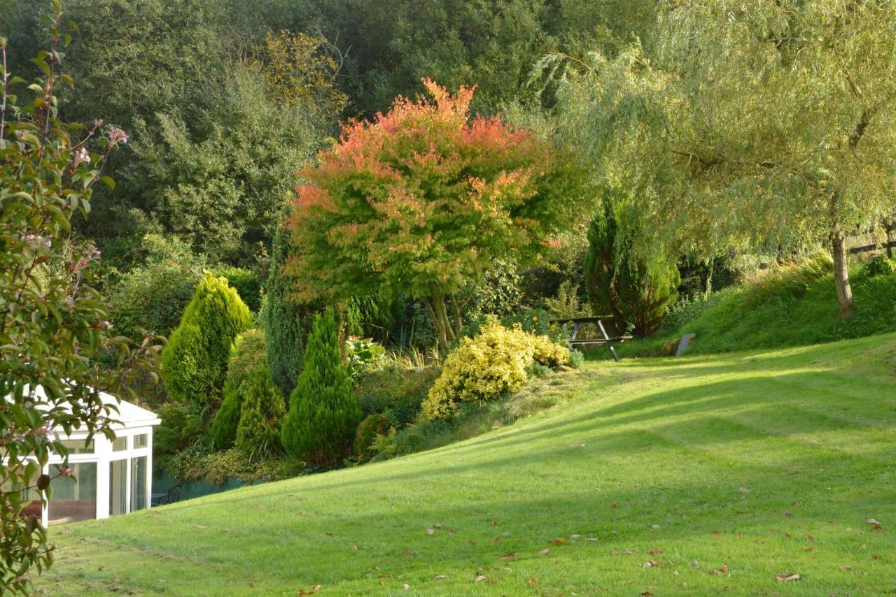 Bryn Hebog Bed and Breakfast Καρμάρθεν Εξωτερικό φωτογραφία